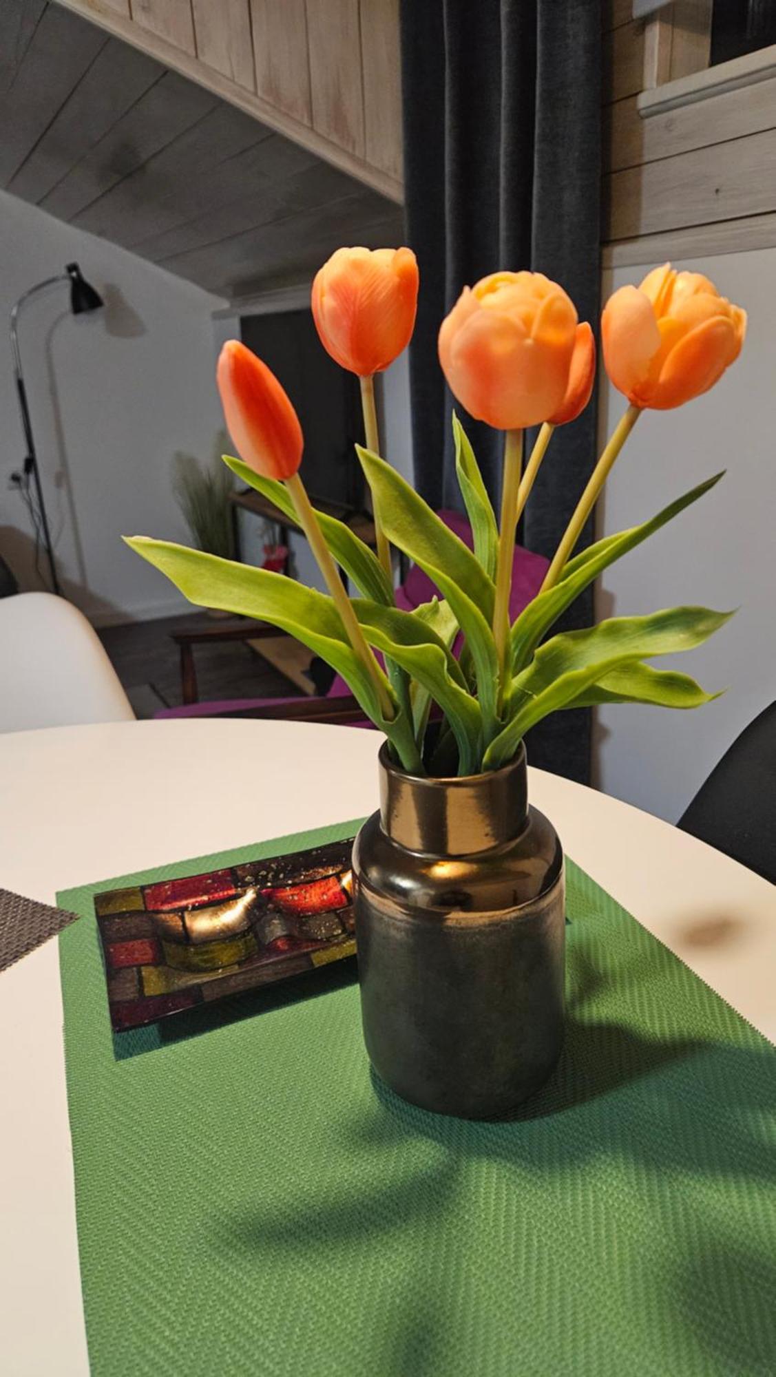 Studio Apartman Gradna Samobor Dış mekan fotoğraf
